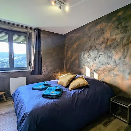 Tatil Evi Maison Vue Panoramique, Parking - 2 Pers. - Fr-1-589-856 Gérardmer